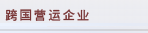 跨国営运企业