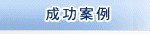 成功案例