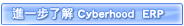 進一步了解 Cyberhooh ERP